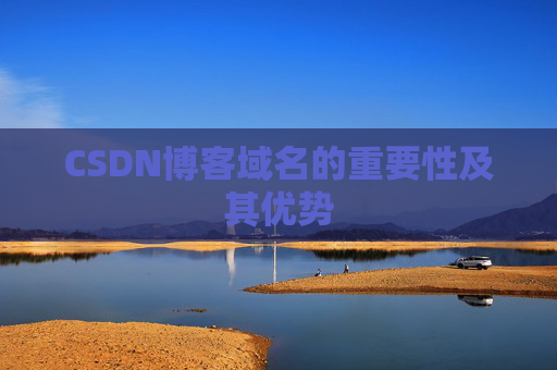 CSDN博客域名的重要性及其优势